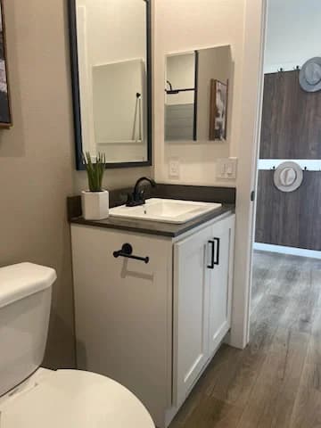 Kritzer bathroom home features